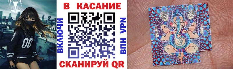 Магазины продажи наркотиков Гороховец Alpha-PVP  КОКАИН  МЕФ  Псилоцибиновые грибы  ГАШ  Марихуана 