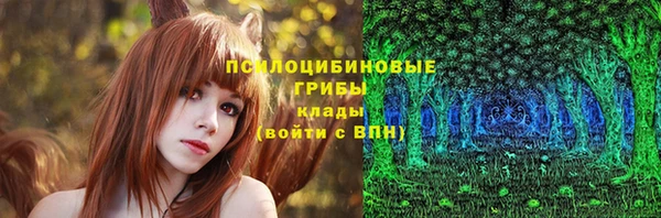 шишки Балахна